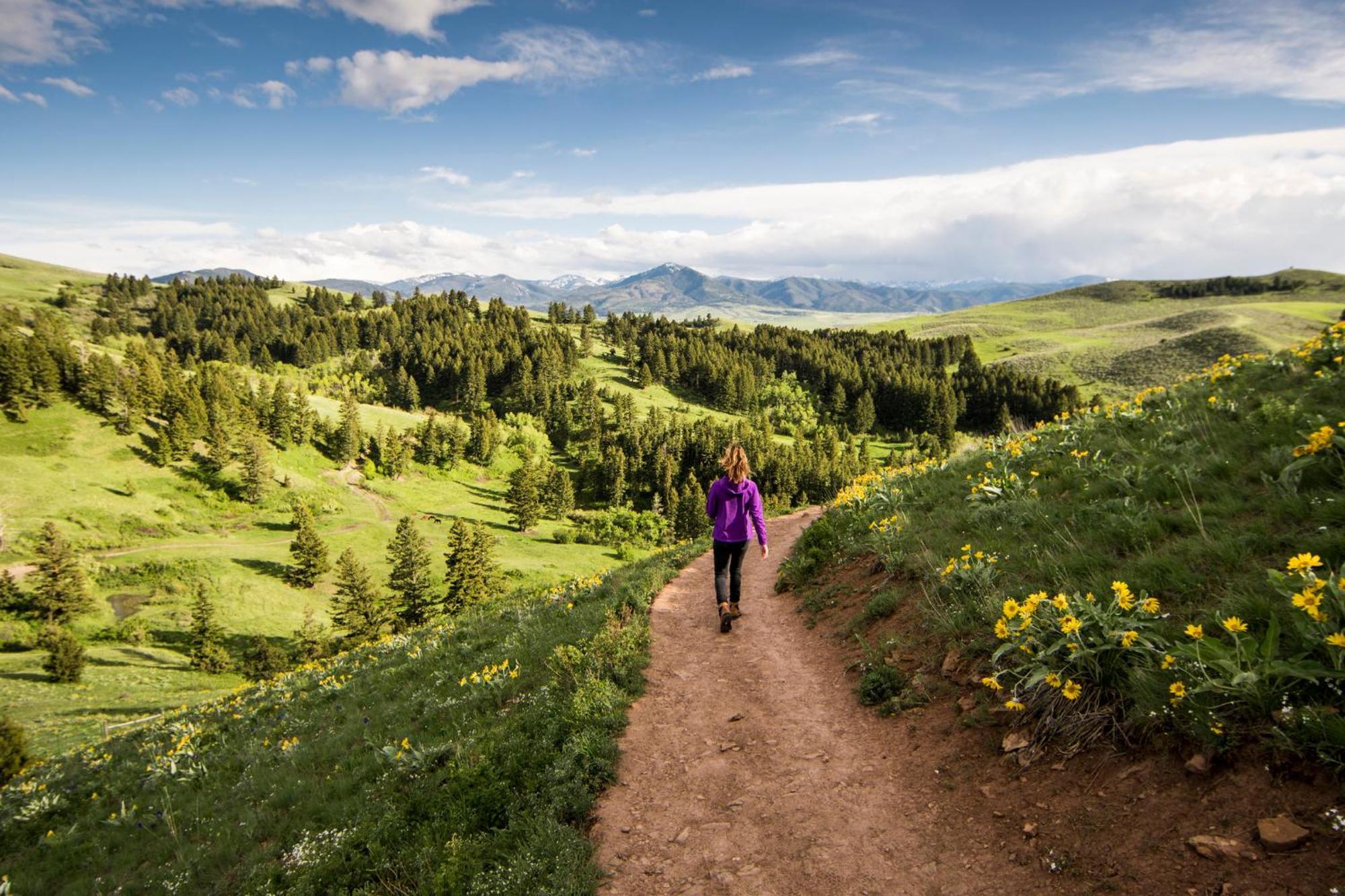 Even Hotel Bozeman Yellowstone Intl Arpt By Ihg Belgrade Dış mekan fotoğraf